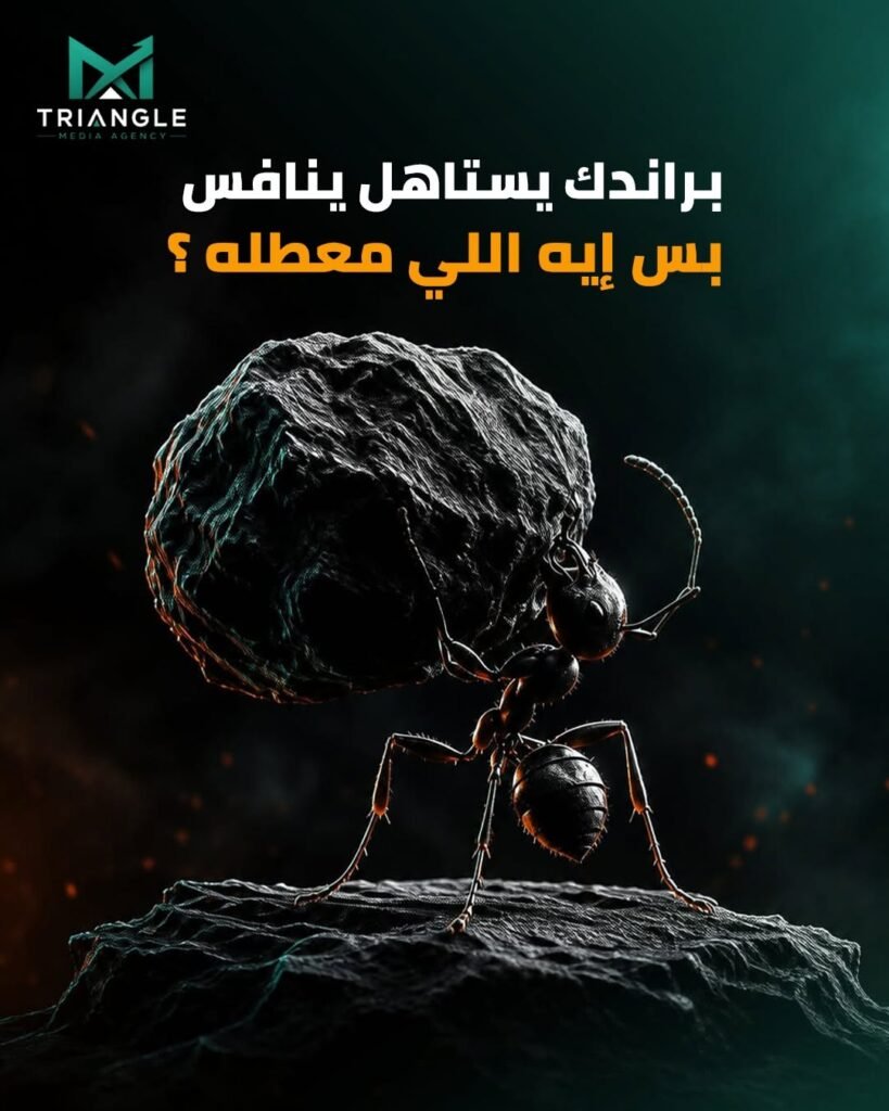 خطة التسويق الإلكتروني للشركات في مصر: من تحديد الهدف إلى قياس النتائج