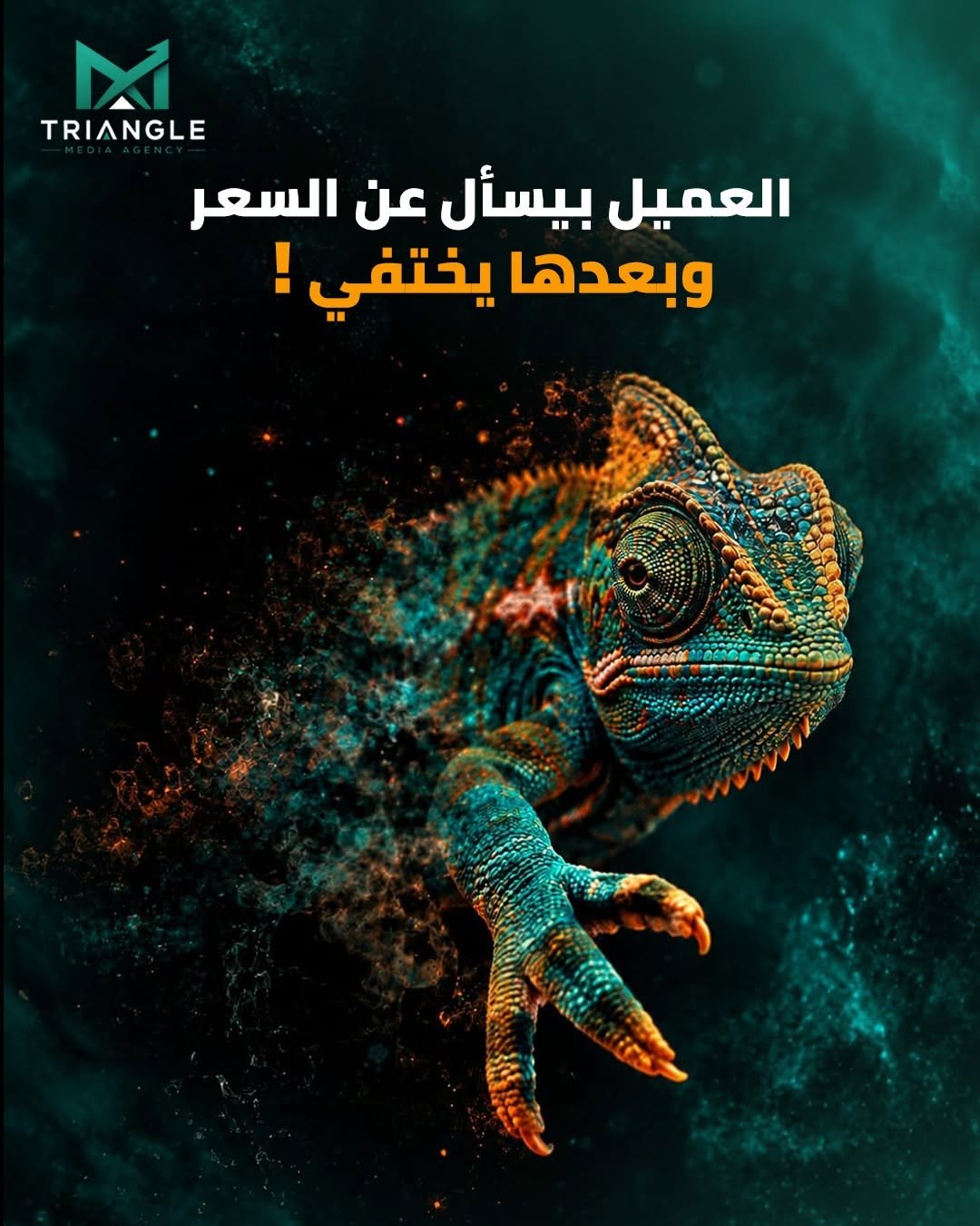 العميل بيسأل عن السعر وبعدها يختفي